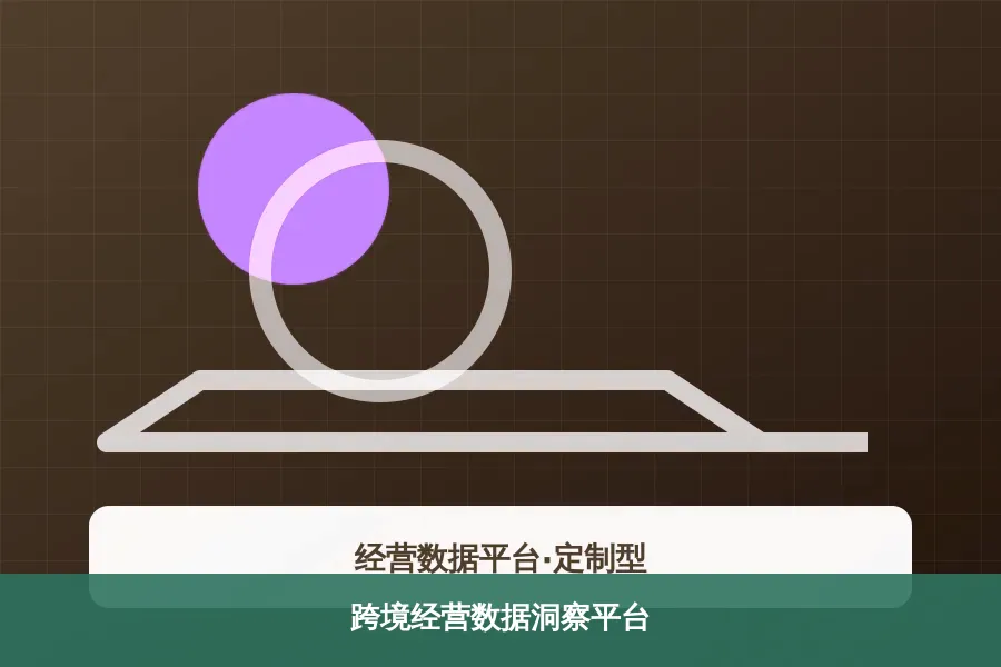 跨境经营数据洞察平台产品示意图